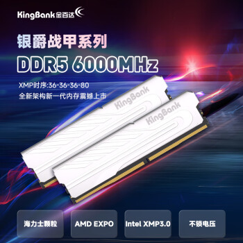 金百达（KINGBANK）64GB(32GBX2)套装 DDR5 6000 台式机内存条海力士M-die颗粒 银爵 C36 适配黑神话悟空