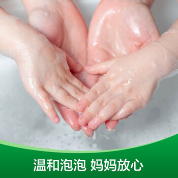 滴露洗手液泡沫抑菌洗手液樱桃芬芳250ml+兰花香沁250ml+手帕纸1包