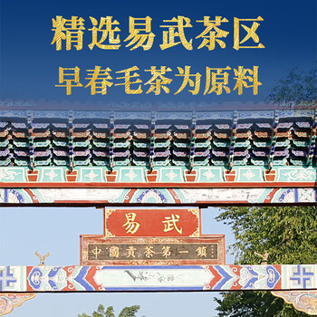 下关沱茶 茶叶 普洱茶 普洱生茶 易武茶区2023年传承经典马背驮茶 250g/盒