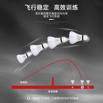 威克多（VICTOR）胜利羽毛球比赛10号12只装 娱乐款鸭毛球