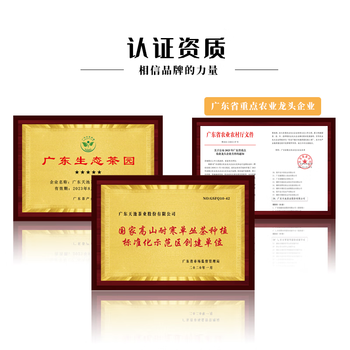 天池乌龙茶富韵凤凰单丛茶单枞组合香168g礼盒装节日送礼自饮乌岽茶叶 天池乌龙茶富韵凤凰单丛茶单枞组合香168g礼盒装节日送礼自饮乌岽茶叶