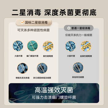 小熊多功能消毒柜 消毒碗柜家用立式二星高温餐具碗筷收纳厨房消毒机 50L RTP50-C40E5