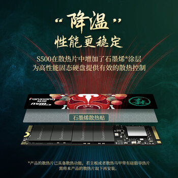梵想（FANXIANG）256G SSD固态硬盘 M.2接口NVMe协议PCIe3.0 TLC颗粒 台式机笔记本电脑适用 S500