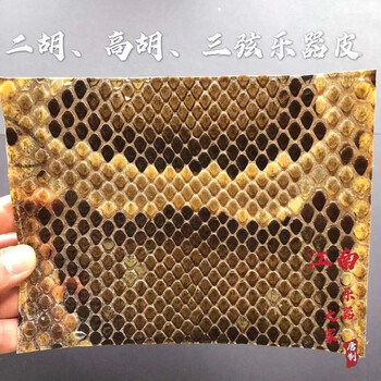 蛇皮二胡- 京东