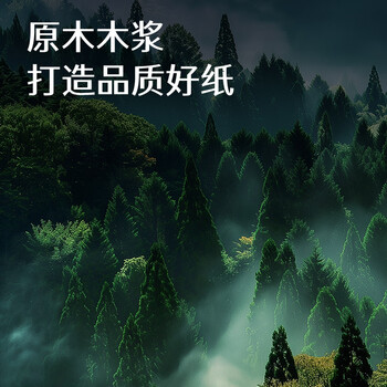 晨光（M&G）橙晨光 A4 70g 多功能双面打印纸 高性价比复印纸 500张/包 5包/箱（整箱2500张） APN1B032