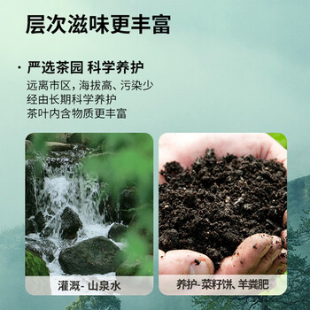 卢正浩绿茶钱塘龙井茶叶特级120g2026年新茶明前茶叶礼盒长辈团购送礼 卢正浩绿茶钱塘龙井茶叶特级120g2026年新茶明前茶叶礼盒长辈团购送礼