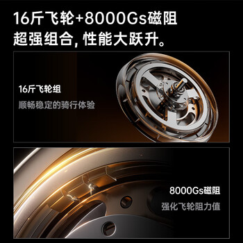 京东京造 动感单车家用自发电智能调阻运动器材自行车B03-05-01-JZ