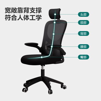 星恺（XINGKAI）电脑椅子家用办公椅会议椅靠背椅人体工学椅 BG215全黑头枕逍遥款
