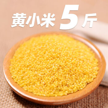 东北红谷秋收新杂粮米五谷粗粮农家朝阳特产饭5斤装 5斤装 红谷小米