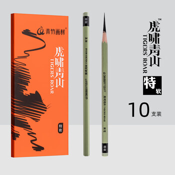 空色炭笔素描铅笔特软炭美术生专用笔黑硬炭笔速写绘画工具初学者学生套装碳素画笔10支/盒美术写生
