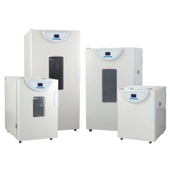 一恒 电热恒温鼓风干燥箱实验室药材烘干老化试验工业烤箱 BPG-9040A