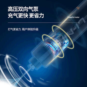 李宁（LI-NING）打气筒篮球足球排球气球气筒便携式球针迷你充气装备（含气针）