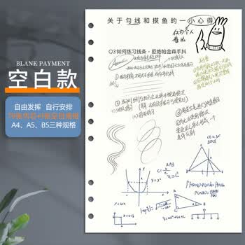 朗捷 B5活页本替换内芯9孔活页纸笔记本本子替换内页空白内芯80张/本可定制