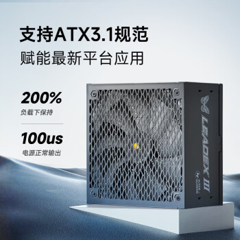 SUPER FLOWER振华 ATX3.1电源 额定1300W LEADEX III1300W 金牌全模 /十年保固/支持 5090/9070显卡