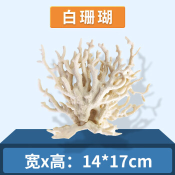 白色珊瑚价格报价行情- 京东