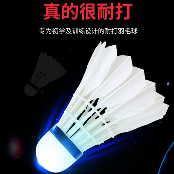 红双喜 耐打娱乐训练比赛用球羽毛球稳定耐打 03羽毛球（3只装*2桶）