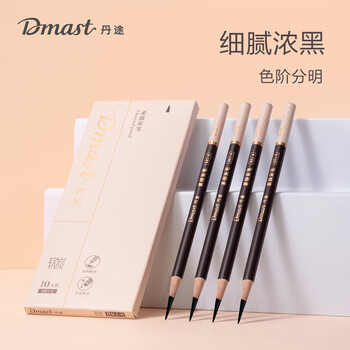 得力（deli）丹途炭笔-中(10支/盒)专业绘画手绘素描彩绘软款画画RK1-4女孩儿童毕业礼物男女孩