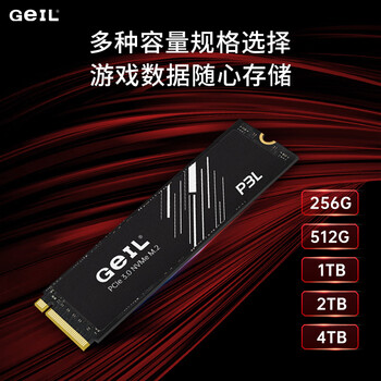 GEIL金邦 512GB SSD固态硬盘 M.2接口PCIe 3.0（NVMe协议）台式机笔记本硬盘 高速3000MB/S P3L系列