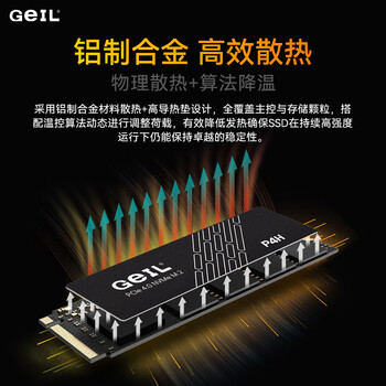 GEIL金邦 1TB SSD固态硬盘 M.2接口(PCIe 4.0 x4)NVMe SSD游戏高性能版 P4H系列 GEIL金邦 1TB SSD固态硬盘 M.2接口(PCIe 4.0 x4)NVMe SSD游戏高性能版 P4H系列