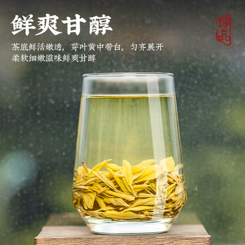 音朗 茶叶绿茶 黄金芽奶白茶新茶明前春茶自饮口粮好茶传统纸包100g