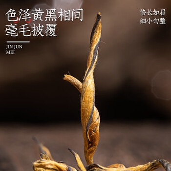 音朗 茶叶 金骏眉红茶500g 2025新茶 武夷山原产蜜香型自己喝茶叶礼盒