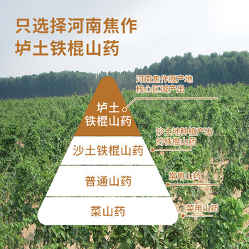 怀生堂 铁棍山药粉滋补营养品礼盒送父母长辈老人 360g30小袋/盒礼盒装 怀生堂 铁棍山药粉滋补营养品礼盒送父母长辈老人 360g30小袋/盒礼盒装