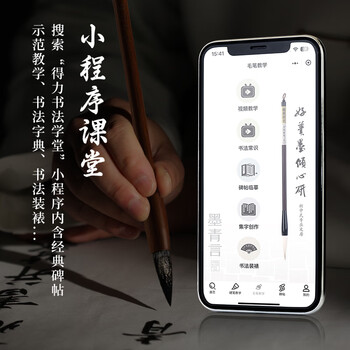 得力(deli)墨伍精制墨汁250g一得阁联名 初学者学生练习毛笔字墨水文房国画墨汁书法专用楷书黑色开学用品 得力(deli)墨伍精制墨汁250g一得阁联名 初学者学生练习毛笔字墨水文房国画墨汁书法专用楷书黑色开学用品