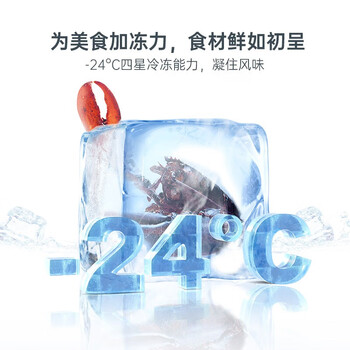 HCK哈士奇双门复古冰箱小香风Pro超薄变频超大容量家用风冷无霜237升圆弧网红冰箱BCD-253RS 奶茶色