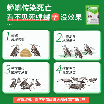 绿叶蟑螂粘板20片蟑螂药杀虫剂100克杀蛮蠊灭蟑螂