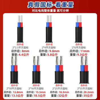 鲁诚讯 ZCBLVVB2*6铝芯电线6平方户外2芯铝线电缆线100米