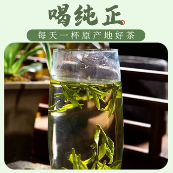 越乡越州高山龙井茶叶特级100g2025年有机茶叶春茶嫩芽鲜香长辈送礼品