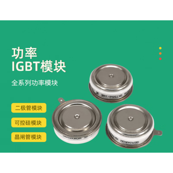 澜世 可控硅晶闸管 T2601N52TOF 澜世 可控硅晶闸管 T2601N52TOF