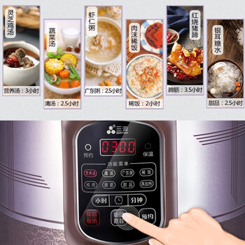 三源（SANYUAN）紫砂电炖锅全自动家用大容量煲汤煮粥锅不溢锅多功能(适合2-4人) 3L