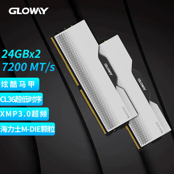 光威（Gloway）48GB(24GBx2)套装 DDR5 7200 台式机内存条 龙武系列 海力士M-die颗粒 CL36 Deepseek硬件