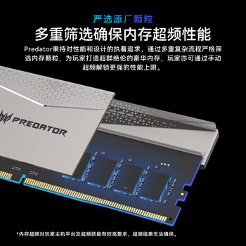 宏碁掠夺者（PREDATOR）32G(16G×2)套装 DDR5 6600频率 台式机内存条 Pallas II 凌霜系列（C34）星光银 AI电脑配件