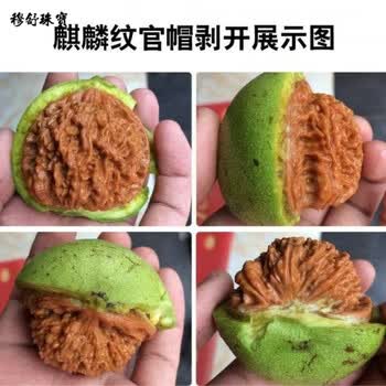 文玩核桃连体品牌及商品- 京东