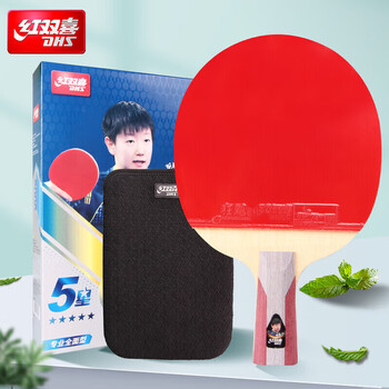 红双喜DHS狂飚乒乓球拍 直拍双面反胶弧圈结合快攻5星单拍H5006(附拍套)