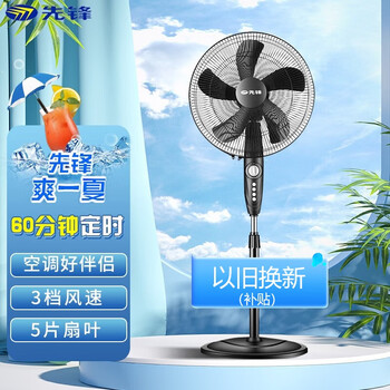 先锋大风量落地电风扇摇头16b16d定时可升降传统风扇黑色fs4016b5叶