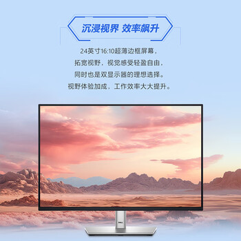戴尔（DELL）24英寸 办公显示器 16:10超薄边框 IPS 100Hz 硬件级防蓝光 USB-C 旋转升降 P2423升级款 P2425