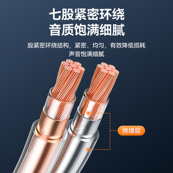 山泽（SAMZHE） 发烧级音响线音箱线 喇叭线音频线连接功放 增强屏蔽抗干扰 工程级纯铜2*100芯100米 vd-1100