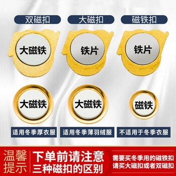 易利丰（elifo）【不褪色】镀金标准款新党员徽章 最新版2024党徽胸章磁吸强磁双面大磁扣 厚度2mm 10个装