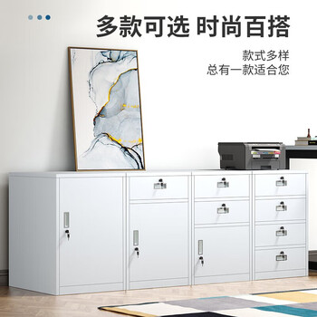 中伟（ZHONGWEI）文件柜办公柜矮柜抽屉柜钢制铁皮柜档案床头柜单门柜白色