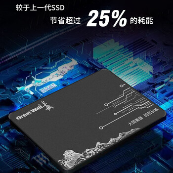 长城（Great Wall) 240GB SSD固态硬盘 SATA3.0接口 读速520MB/S台式机/笔记本通用 GW520系列