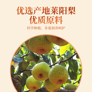 溯珍源 莱阳梨膏 古法熟梨制膏润喉130g*4瓶装