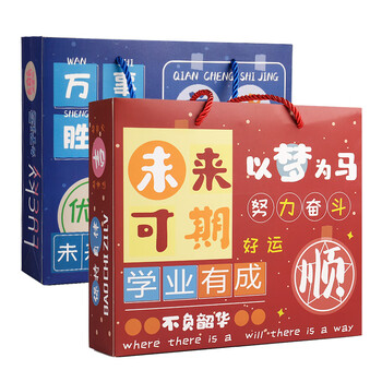 递乐【全网低价】学习用品开学伴手礼文具套装入学一二年级升学礼盒开学礼物2347红色未来可期-低年级