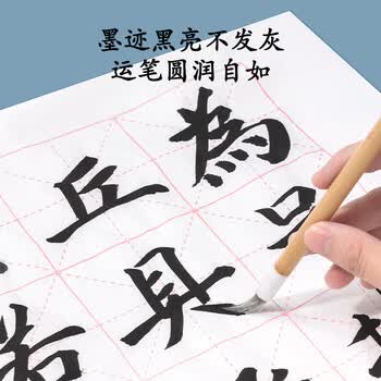 得力（deli）250ml特质浓墨 文房书法国画绘画 大中小楷毛笔书画字帖礼物 精品墨水墨汁 淡墨香款开学用品