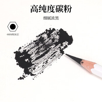 青竹画材（CHINJOO）流光白炭笔美术生专用软中硬素描铅笔碳笔碳条碳铅笔绘画素描美术写生【流光白硬炭笔/12支】