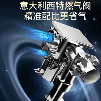 奥克斯（AUX）全预混冷凝壁挂炉一级能效天然气供暖采暖热水两用锅炉地暖暖气片LL1GBQ26-MA-QS350(S)