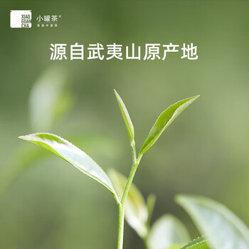 小罐茶 大红袍茶 40g(4g*10罐) 金罐 春茶 正岩 特级 武夷山乌龙茶