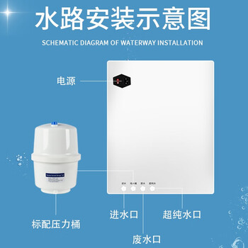 恩谊 超纯水机实验室纯水仪化水机ro反渗透去离子水设备学校净水器 UP-10L二级水